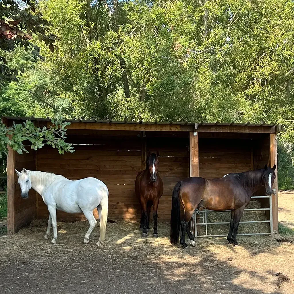 Photo de profil de Maelle Juarez