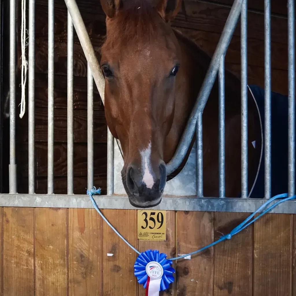 Photo de profil de Charlotte Novo